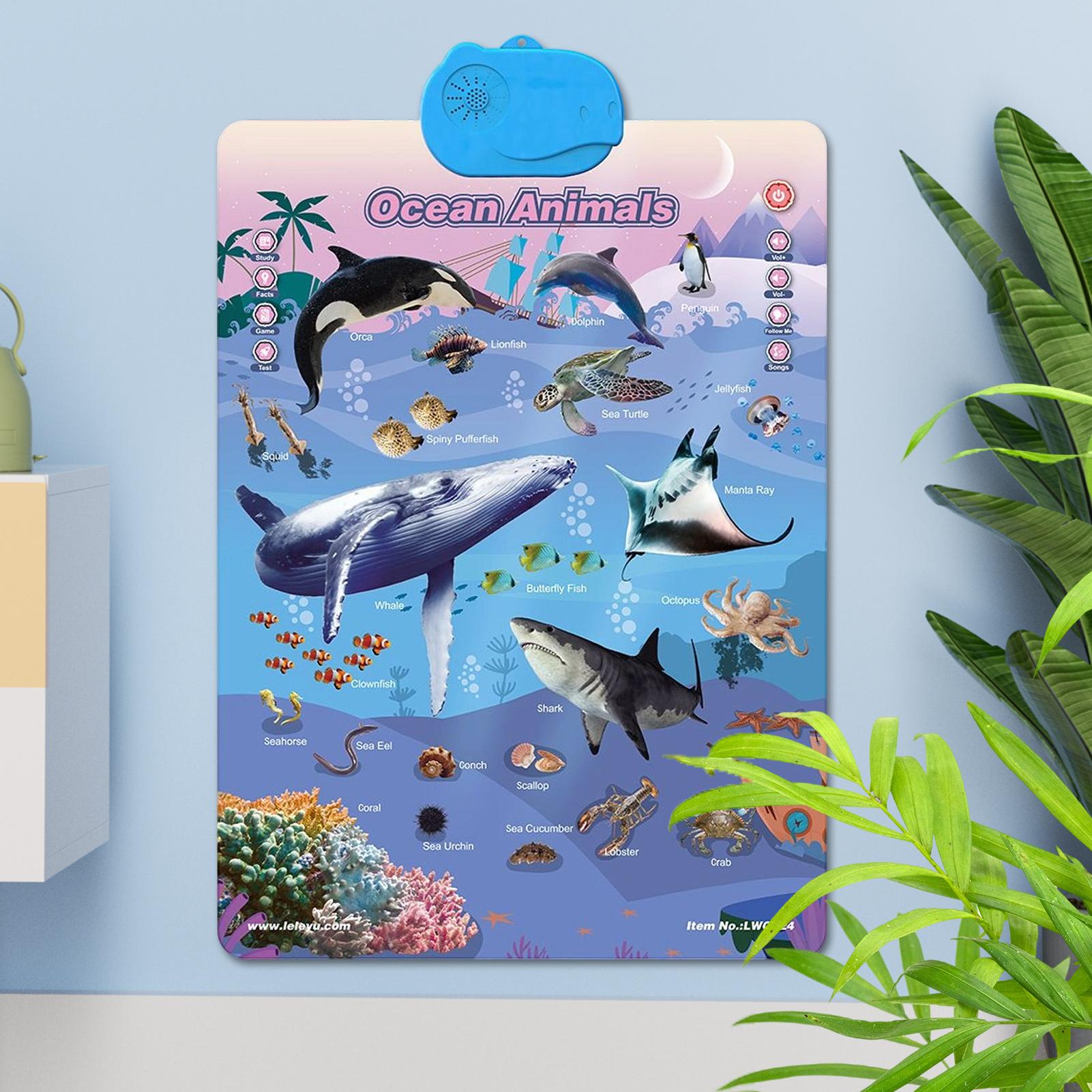 Kids Learning Posters Interact - огляд і ціна Kids Outdoor Tools