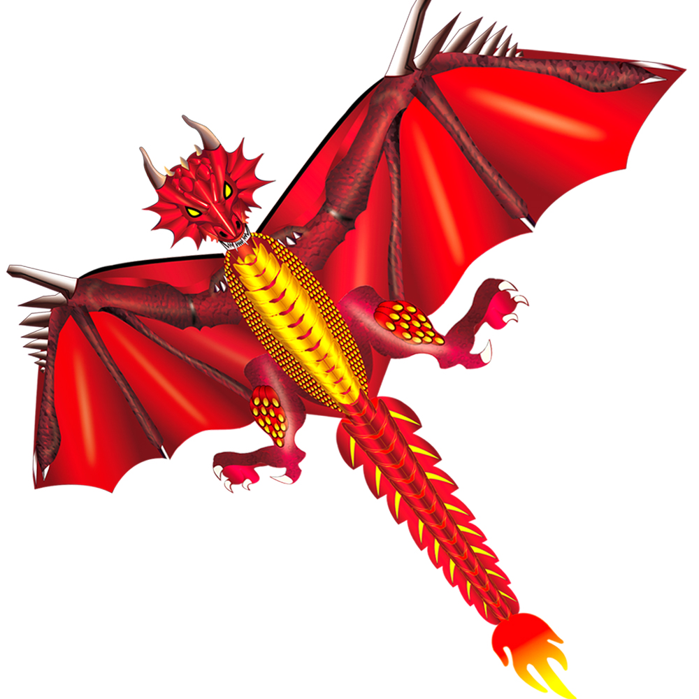 New Ice and Fiery Dragon  Kite - огляд і ціна Kite Easy Fly Kids
