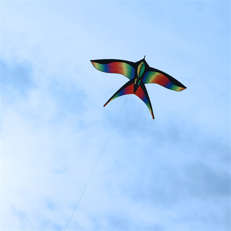 1.7m Easy to Fly Colorful Rain - огляд і ціна Kite Easy Fly Kids