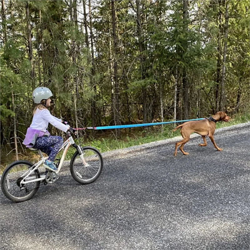 New Bicycle Elastic Leash Belt - огляд і ціна Kids Outdoor Tools