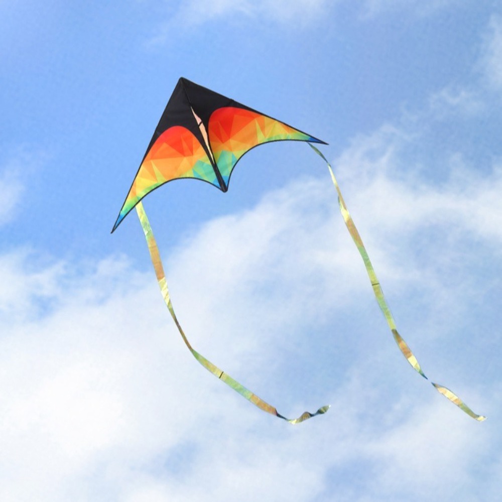 Double-tailed Large Delta Kite - огляд і ціна Kite Easy Fly Kids