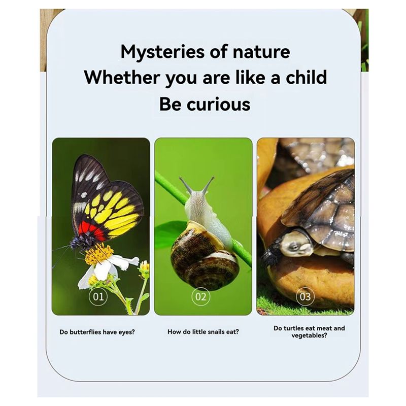 A67P-New Bug Viewer Outdoor In - огляд і ціна Kids Outdoor Explorer Kit